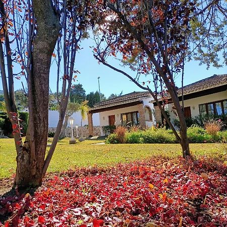 Tottam Art&Healthy Garden Villa Málaga Exteriör bild