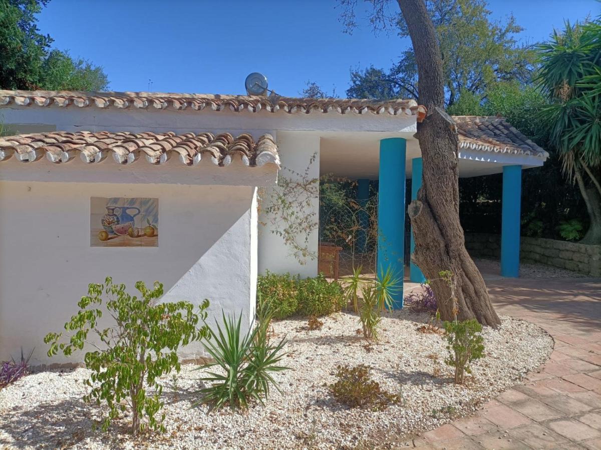 Tottam Art&Healthy Garden Villa Málaga Exteriör bild